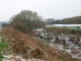 /album/my-local-birding-gallery/winter-returns-by-the-riverside-jpg/